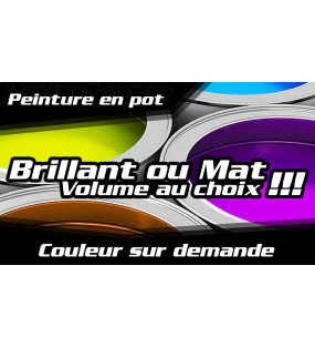 Peinture en pot - (Couleur...