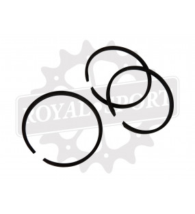 Segment Solex (Adaptable)...