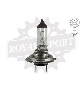 Ampoule 12 volts 45/40w...